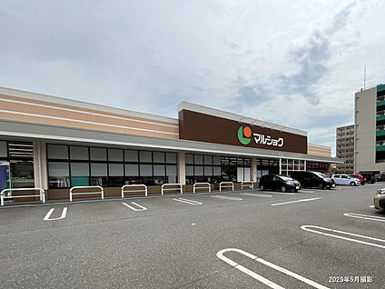 マルショク東大道店 現地から496m～499m。(徒歩7分。(最長))