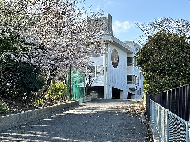 根岸小学校(約720m)