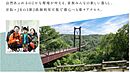 大阪府交野市私市４-37：物件画像