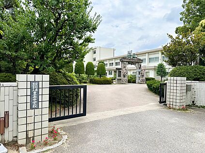 豊南中学校 896m(徒歩12分)
