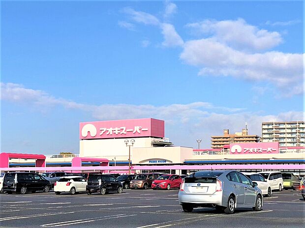 アオキスーパー今伊勢店