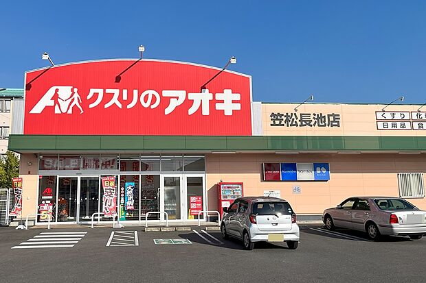 クスリのアオキ(約520m)