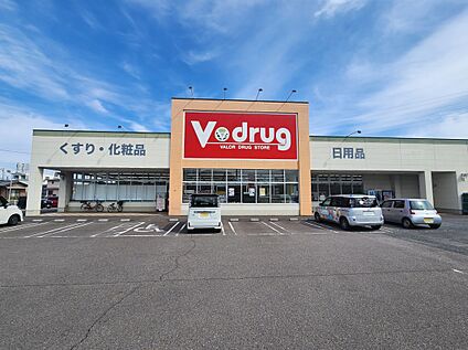 Vdrug穂積店 250ｍ