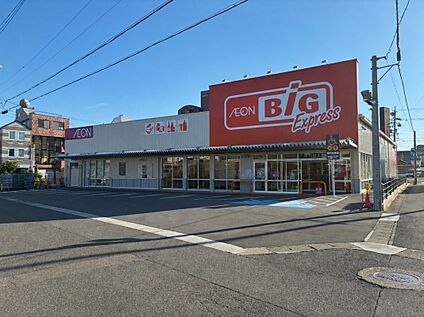 ザ・ビッグエクスプレス岐阜早田店 600ｍ(徒歩8分)