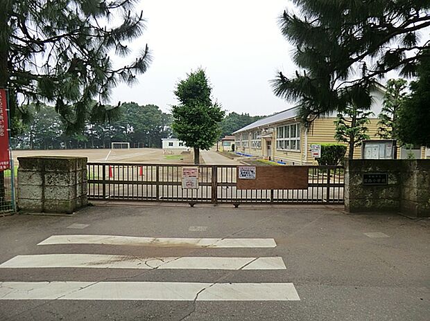 絹西小学校　2500ｍ