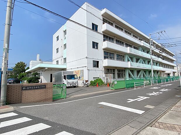 五本松小学校 230m