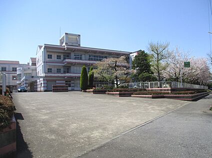 松前台小学校 216ｍ