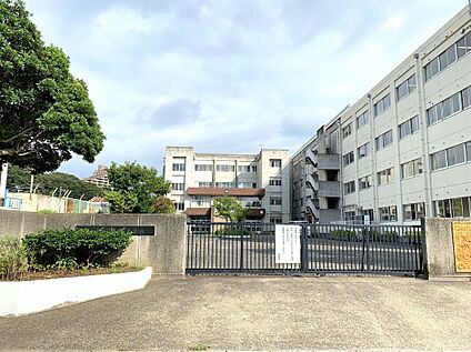幸谷小学校 253ｍ