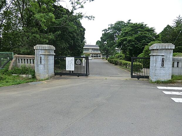 龍ヶ崎小学校（約243m）
