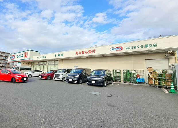 セイムス(約261m)