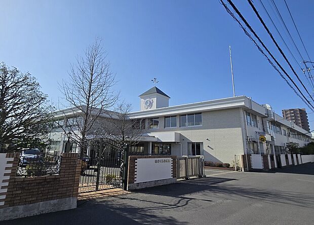 柏さくら幼稚園(約764m)