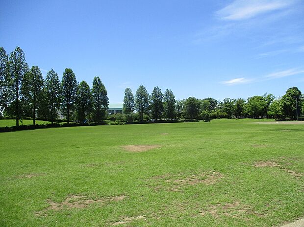 坂戸井公園(約132m)