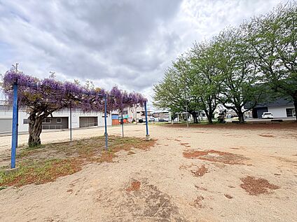 中村南5丁目公園 500ｍ
