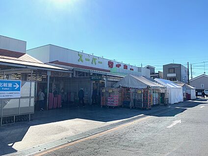 タイヨー 330ｍ
