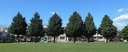 中野区立武蔵台小学校 約380m(徒歩5分)
