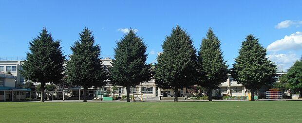 中野区立武蔵台小学校