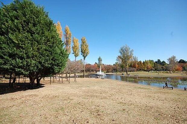 彩の森公園（約750m）