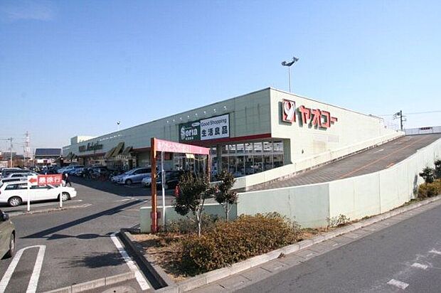 ヤオコー入間下藤沢店(約1,100m)