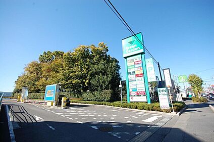 Green Garden(グリーン ガーデン) 武蔵藤沢 970m