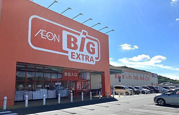 イオン ザ・ビッグエクストラ平群店