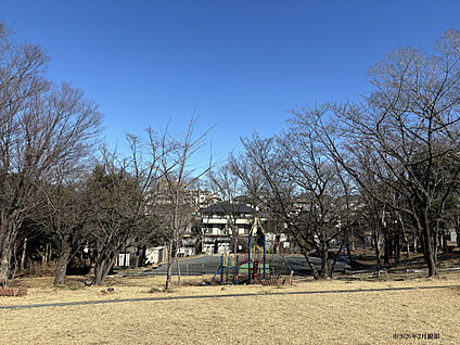 荏田猿田公園 現地から500m。(徒歩7分。)