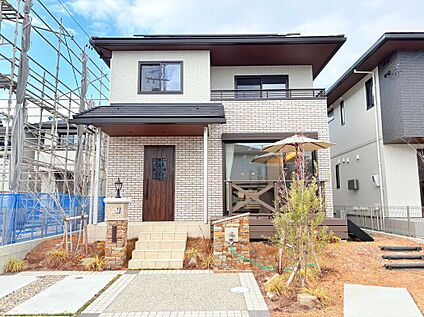56号地