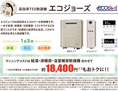 エコージョーズ