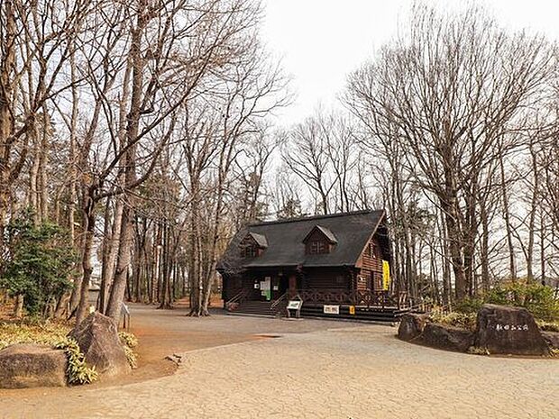 新田山公園(約9m)