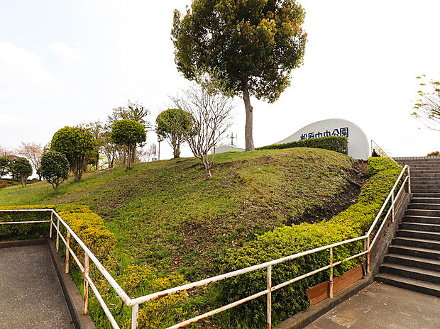 松原中央公園（約857m）
