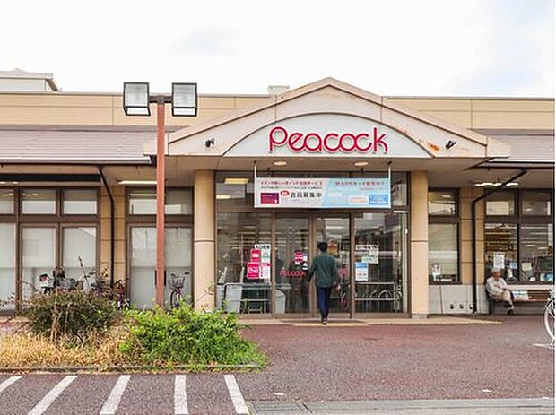 ピーコックストア玉川上水店(約671m)