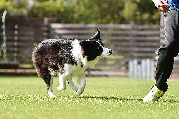 【庭のある暮らし】
芝生敷きのプライベートな庭のある空間を計画しました。天気の良い休日には家族でバーベキューをしたり、テーブルや椅子を置いて外の空気を感じながらお茶も愉しめます。