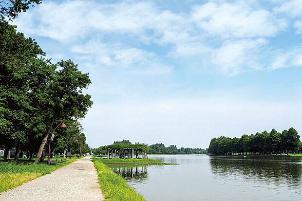 水元公園(現地より徒歩3分)