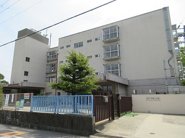 城東小学校(約960m)