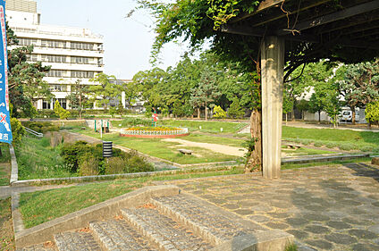 東雲公園 約240ｍ(徒歩3分)