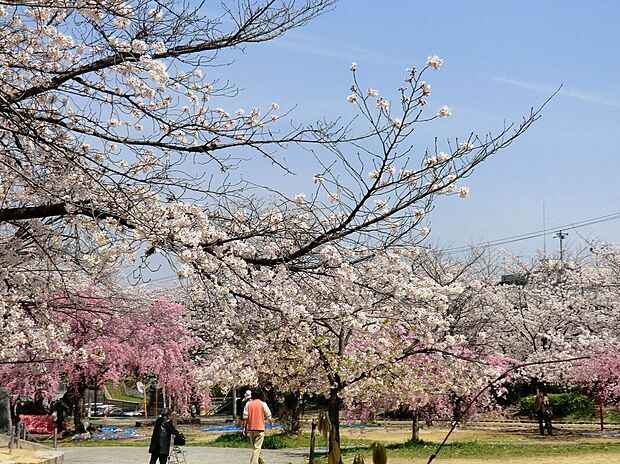 牧野公園（約750m）