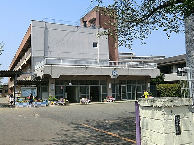 蓮田南小学校　