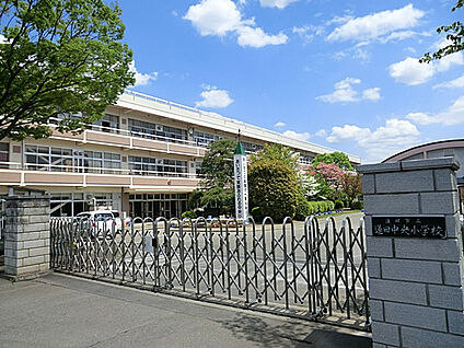 蓮田中央小学校 129m