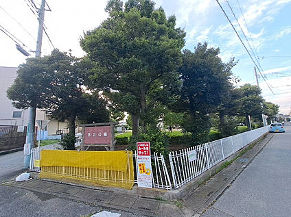 赤井公園 50m
