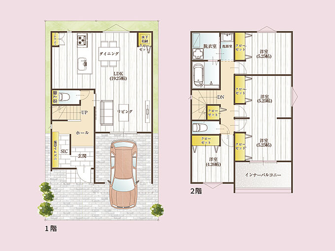D号地PLAN