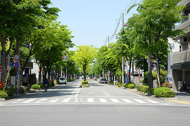 【【街並み写真】】青々とした緑が美しい武庫之荘の街並み。自然に触れ、心が豊かになる暮らしを是非。
