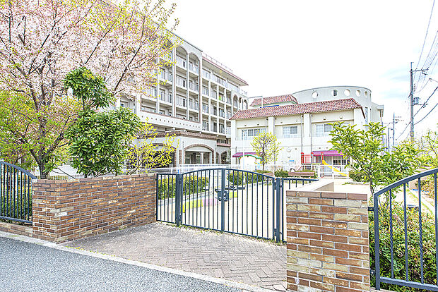 認定こども園あおい宙川西