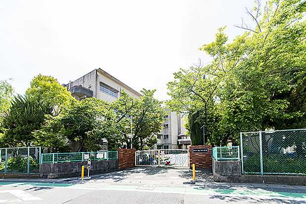樋ノ口小学校