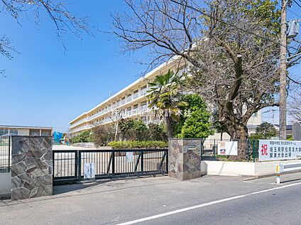 南陵中学校 約700ｍ(徒歩9分)