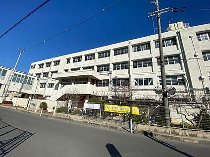 羽曳野市立古市小学校 約613m(徒歩8分)