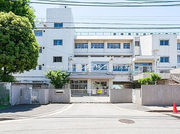 府中市立小柳小学校（約650m）