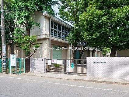 調布市立若葉小学校 900m (徒歩12分)