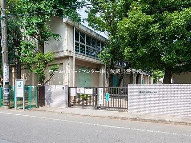 調布市立若葉小学校（約900m）