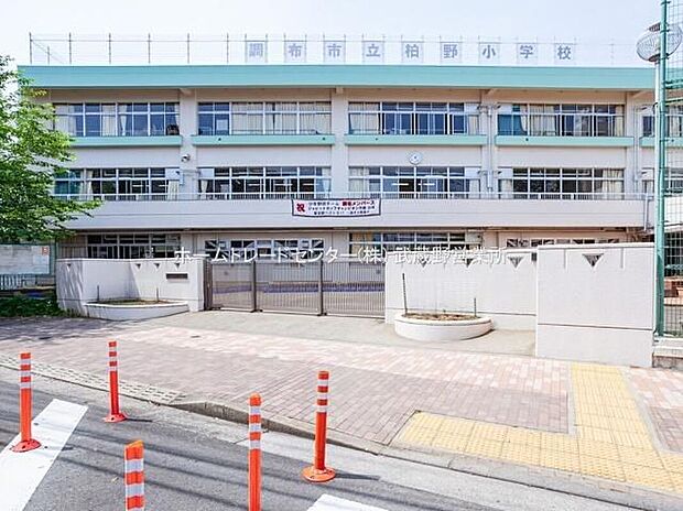 調布市立柏野小学校（約400m）