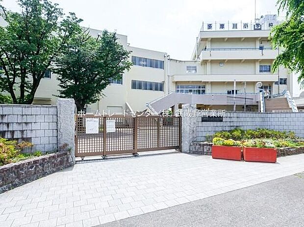 調布市立多摩川小学校（約300m）