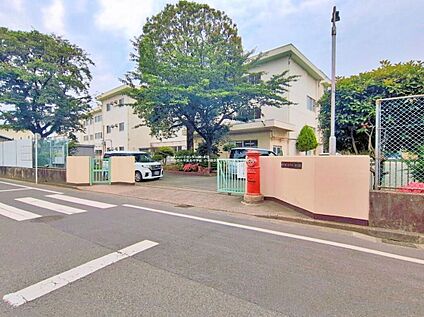 小平市立小平第三中学校 240ｍ(徒歩3分)